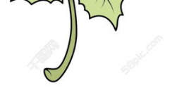 叶子动漫,描绘青春梦想的彩色画卷